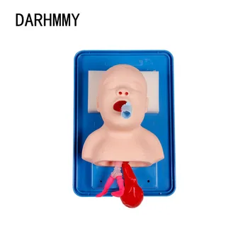 DARHMMY Модель интубации трахеи у новорожденных/младенцев Аналоговый симулятор интубации трахеи с двойным расширением легких и желудка у ребенка